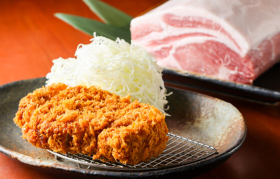 一献豚 神田洞門