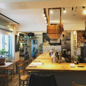 hipani ヒパニの画像