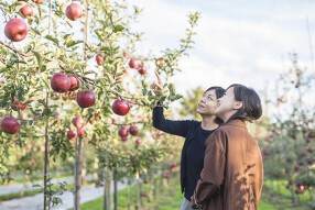 【オープニング募集】à la ringo（あら、りんご）　スイーツ＆cafeの画像