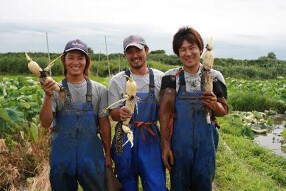 農家の台所 新宿3丁目店の画像