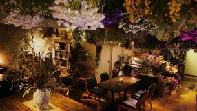 Lecoin　キタサンドウの画像