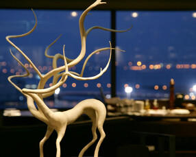 IL PINOLO SKY TERRACEの画像