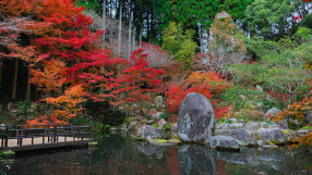 秋月温泉 清流庵の画像