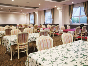 マエリスタの画像