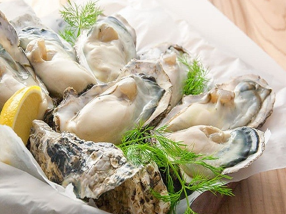 ニュー貝殻荘の画像