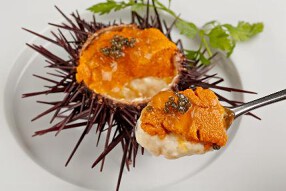 Oysterbar&Wine BELON 六本木店の画像