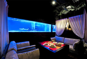 HOLLYWOOD HILLSの画像