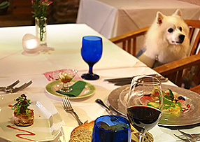 ホテル四季の蔵の画像