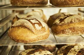 スターバックス コーヒー ジャパン プリンチキッチンの画像