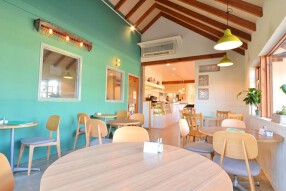 ロゼッタの画像