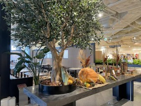 Cosme Kitchen Adaptation 阪神梅田本店の画像