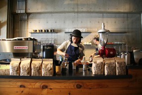 Sensing Touch of Earthの画像