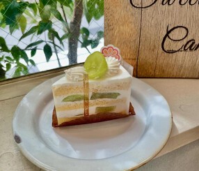 CAMELLIA（暫定）の画像