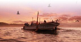 花しぶきリゾートグループの画像