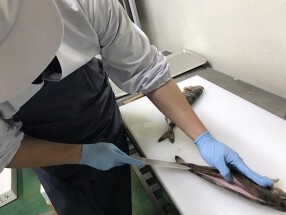シハチ鮮魚工場直売所の画像