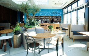 野菜ビストロ Les Legumesの画像