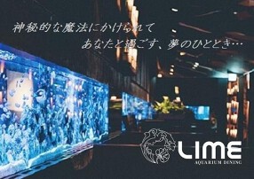 ＜新宿＞アクアリウムダイニング新宿ライムの画像