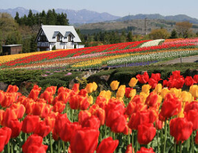 牧歌の里の画像
