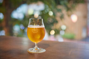 Contempus by Y.Y.G.Breweryの画像