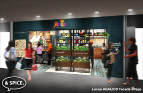 AGALICO（アガリコ）の画像