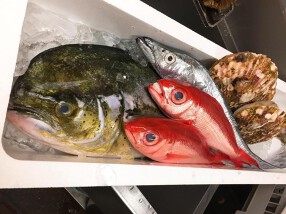 地中海料理ムラーノの画像