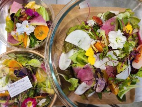 Mogu Mogu マルイシティ横浜店の画像