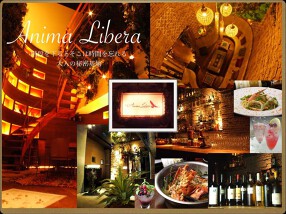 Anima Liberaの画像