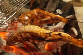 福岡 炉端もんの画像