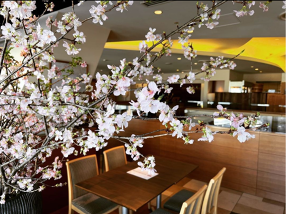 くちかほう　相模大野店の画像