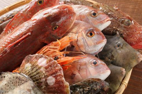 あかり屋の画像