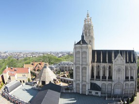 アンジェリカノートルダムの画像