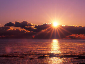 日の出ラーメン（仮）の画像