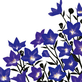 nana's green tea ルミネエスト新宿店の画像