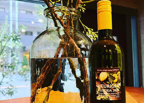 Bistro Repasの画像