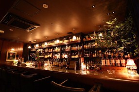 The D-Singletonの画像