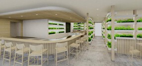 カジュアル鉄板焼き（仮）の画像