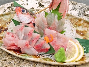 いまいゆ料理とおいしいお酒  はりゆんの画像