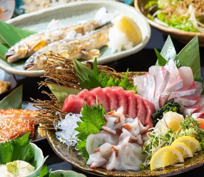 三浦鮮魚と酒　ことぶきや　溝の口の画像