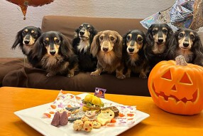 one two Skipの画像