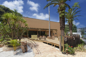 VENTO e il LEONEの画像