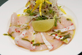 ミトラタカセの画像