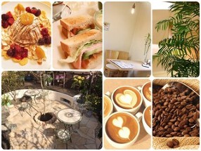 cafe樹-miki-の画像