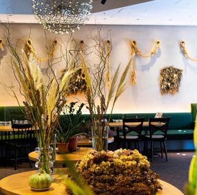 tsuchi 農園野菜とチーズ料理の画像