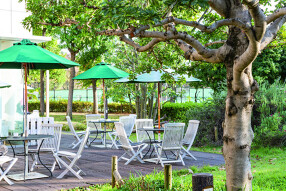 府中乃森珈琲店の画像