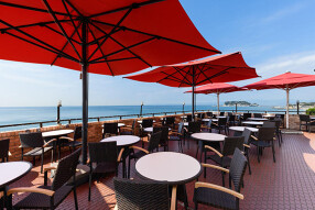 アマルフィイ デラセーラの画像