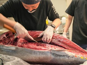 西国立駅前☆＜魚焼き  玉河＞  ～野村興業グループ～　の画像