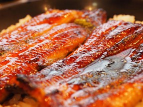 鰻之姫川の画像