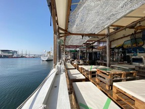 マグロ卸のマグロ丼の店の画像