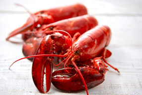 レッドロブスターユニバーサル・シティウォーク大阪店 の画像