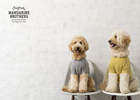 MANDARINE BROTHERSの画像